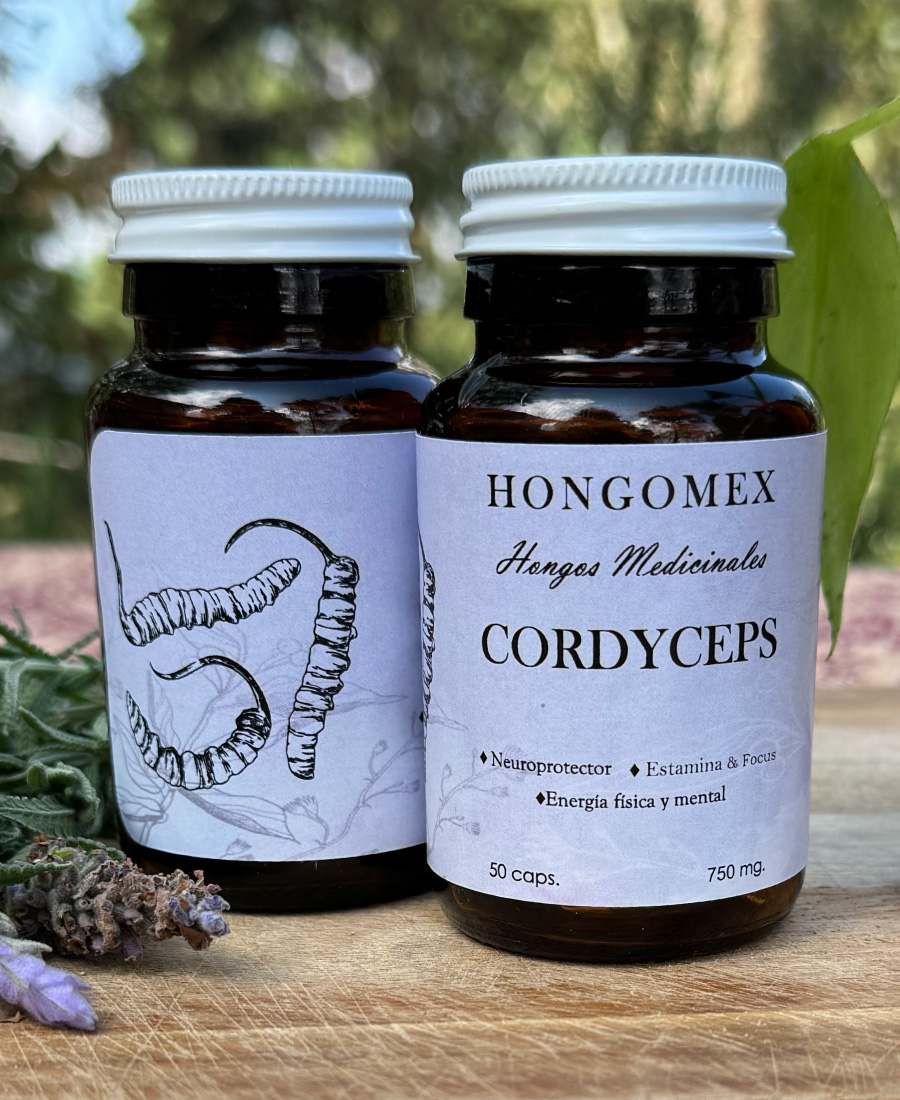 Cordyceps