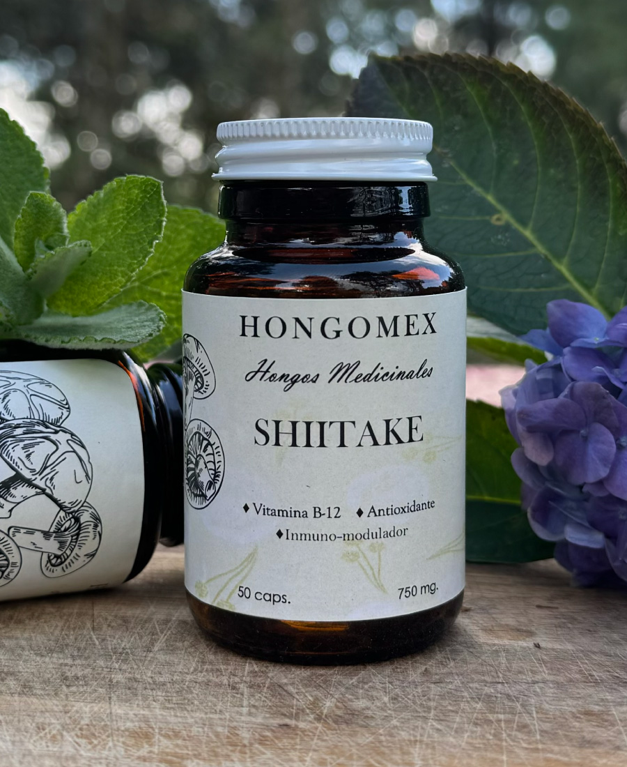 Shiitake